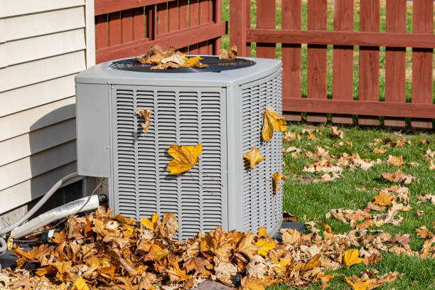 Best HVAC Air Duct Cleaning  in Shelton, NE